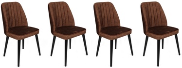 Ēdamistabas krēsls Kalune Design Alfa 436 V4 974NMB1557, matēts, brūna/melna, 49 cm x 50 cm x 90 cm, 4 gab.
