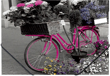 Папка с резинкой Panta Plast Bicycle, A4