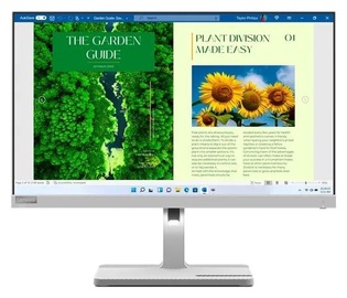 Монитор Lenovo L24m-40, 23.8″, 4 ms