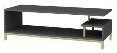 TV-laud Kalune Design Reilly, antratsiit/kuldne, 44.6 cm x 120 cm x 37.6 cm