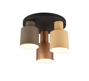 Lampa griesti Trio AGUDO, 40 W, E27, 619430317