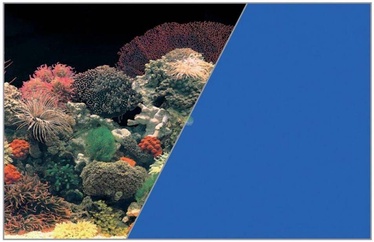 Фон аквариума Zolux Poster Black Colar/Blue, многоцветный, 60 см