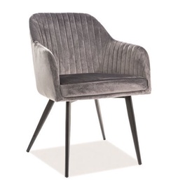 Tool Signal Meble Modern Elina Velvet, hall (kahjustatud pakend)