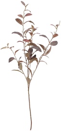 Dirbtinė šakelė, alyvmedis Splendid Olive, ruda, 130 cm