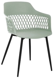 Ēdamistabas krēsls Mirpol Lucia SL-7049B, matēts, zaļa, 53 cm x 56 cm x 81 cm