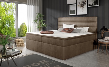 Кровать двухместная континентальная Softy Monolith 09, 160 x 200 cm, светло-коричневый, с матрасом