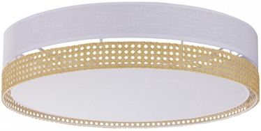 Lampa griesti TK Lighting Paglia White 4, 15 W, E27