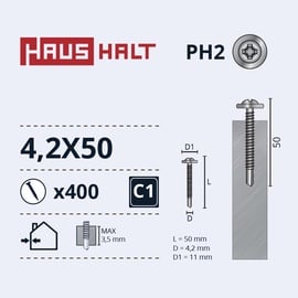 Isekeermestavad kruvid Haushalt DIN 14566, 4.2x50 mm, 400 tk
