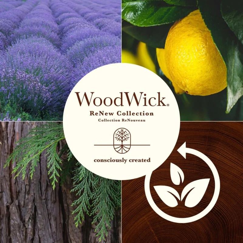 Свеча, цилиндрическая/ароматическая WoodWick Renew Medium Lavender & Cypress, 20 - 40 час, 184 г