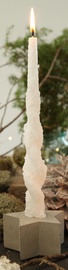 Svece formas Diana Sveces, 8 h, 280 mm