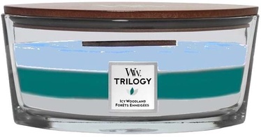 Svece, aromātiskā WoodWick Trilogy Icy Woodland Elipsa, 40 h, 453.6 g, 92 mm x 121 mm