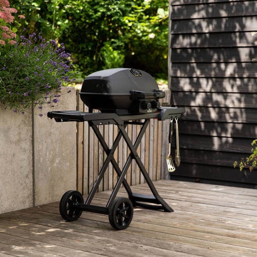Kaasaskantav gaasigrill Napoleon Phantom Travelq Pro 285x, 51 cm x 112 cm