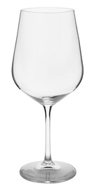 Veiniklaaside komplekt Homla Brilliant 820859, klaas, 0.58 l, 4 tk