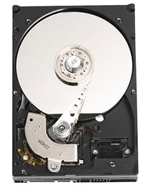 Жесткий диск (HDD) Dell N006L552115EMEA, HDD, 1 TB