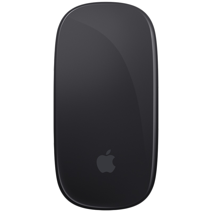 Kompiuterio pelė Apple Magic Mouse 2 bluetooth, pilka