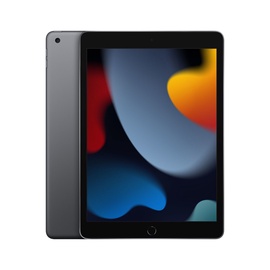 Tahvelarvuti Apple iPad 10.2 (2021), hall, 10.2", 3GB/64GB