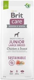 Sausā suņu barība Brit Care Junior Large Breed Chicken & Insect, vistas gaļa, 12 kg
