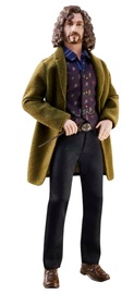Lėlė Mattel Harry Potter Sirius HCJ34, 25 cm