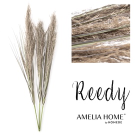 Dekoracija AmeliaHome Pampas Reedy 10625702, 86 cm, šiaudai, ruda