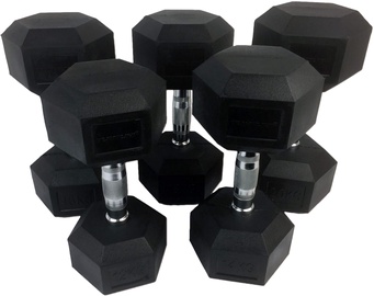 Svorių rinkinys Tunturi Rubber Dumbbell Set, 160 kg