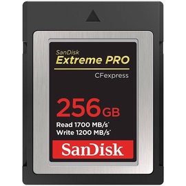 Atmiņas karte SanDisk Extreme Pro, 256 GB