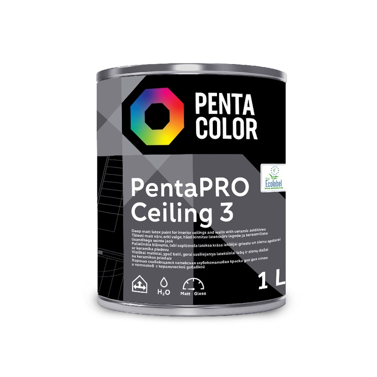 Värv Pentacolor PentaPro Ceiling 3, valge, 1 l