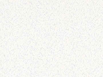 Tapetes 2556-01 B91, krāsotas, balta