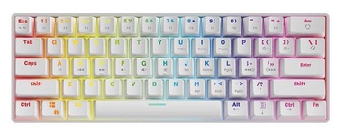 Klaviatūra Savio Mechanical Keyboard Whiteout Blue Outemu Blue Angļu (US), balta