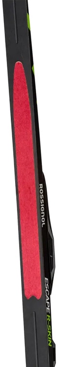 Лыжи равнинные Rossignol X-Tour Escape R-Skin IFP, 206 см