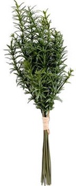 Искусственное растение, розмари Home4you In Garden Rosemary, зеленый, 30 см
