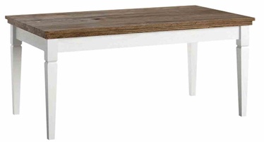 Kohvilaud Helvetia Evora 99, valge/tamm, 110 cm x 60 cm x 49.8 cm