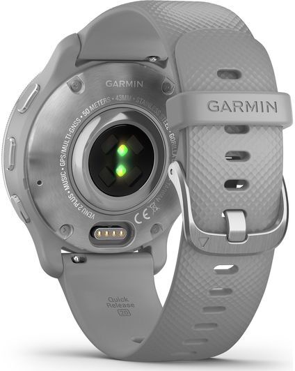 Умные часы Garmin Venu 2 Plus, серебристый