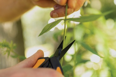 Секаторы для отростков Fiskars SP-131, 21 см
