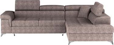 Угловой диван Eridano Amore 20, коричневый, 202 x 275 см x 88 см