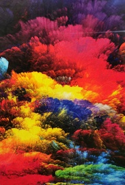 Ковер Digital print DJ17.1.0409, многоцветный, 150 см x 230 см
