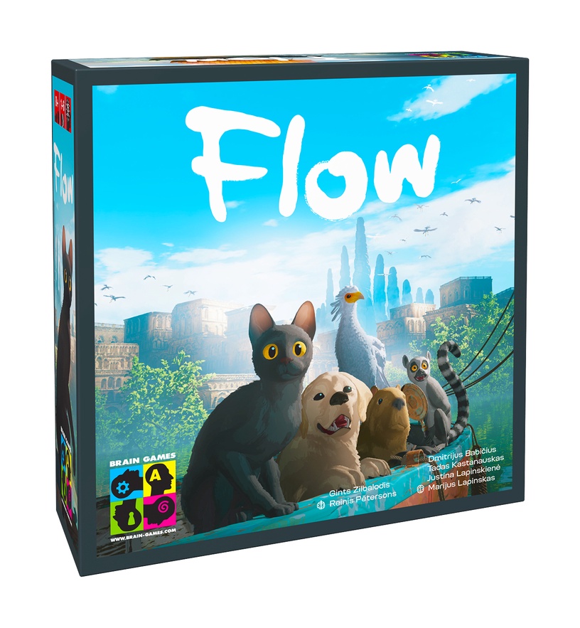 Lauamäng Brain Games Flow BRG#FLOW