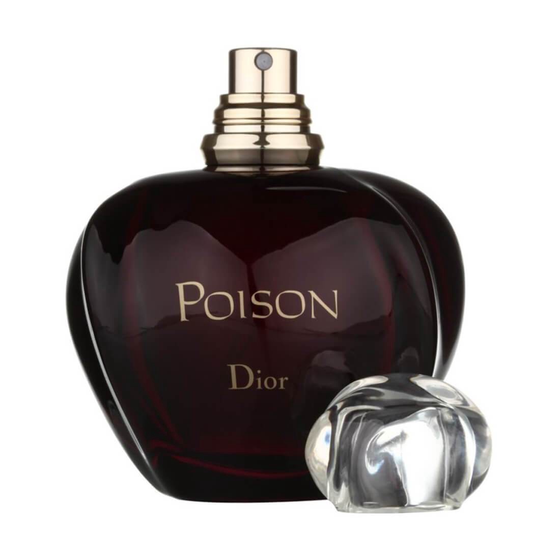 dior poison eau de toilette 100ml spray