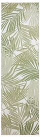 Koridorivaip Hakano Vinea Palms, roheline/kreemjasvalge, 250 cm x 60 cm
