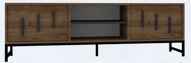 TV staliukas Kalune Design Shape, riešuto, 160 cm x 40 cm x 50 cm