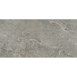 Flīzes, akmens Tubadzin Alveo 5900199219724, 119.8 cm x 59.8 cm, pelēka