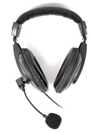 Laidinės ausinės Omega Freestyle FH7500, juoda
