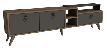 ТВ стол Kalune Design Luzzi, ореховый/антрацитовый (поврежденная упаковка)