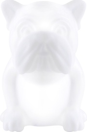 Ночники Bigben Dog, белый