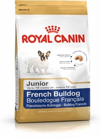 Kuiv koeratoit Royal Canin Bulldog, kanaliha/sealiha, 1 kg