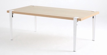 Kohvilaud Kalune Design Fonissa, pruun/valge, 60 cm x 120 cm x 45 cm