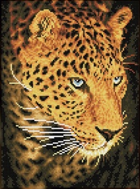 Dimantu mozaīka Diamond Dotz Leopard Portrait SD5.404, melna/oranža