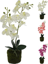 Mākslīgie ziedi puķu podā, orhideja Atmosphera, balta/rozā/, 40 cm