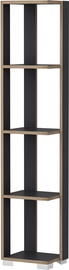Riiul Kalune Design Neg, antratsiit, 26 cm x 34 cm x 153 cm