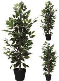Dirbtinis augalas vazone Atmosphera, žalia, 95 cm