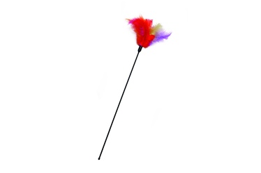 Žaislas katėms ant pagaliuko Karlie Tickler Feathers, raudonas, 45 cm